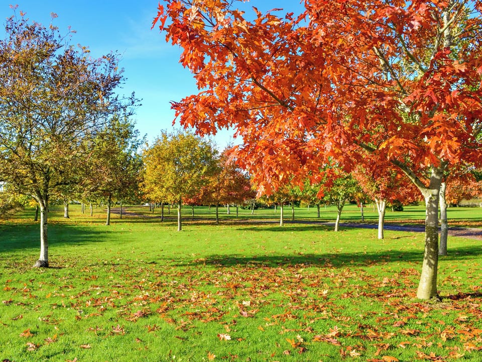 Garden and grounds | Grange of Berryhill - Grange Holidays, Dundee