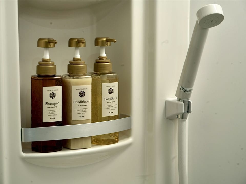 Shower, free toiletries, hair dryer, bidet