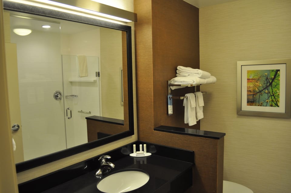 Combined shower/tub, free toiletries, hair dryer, towels