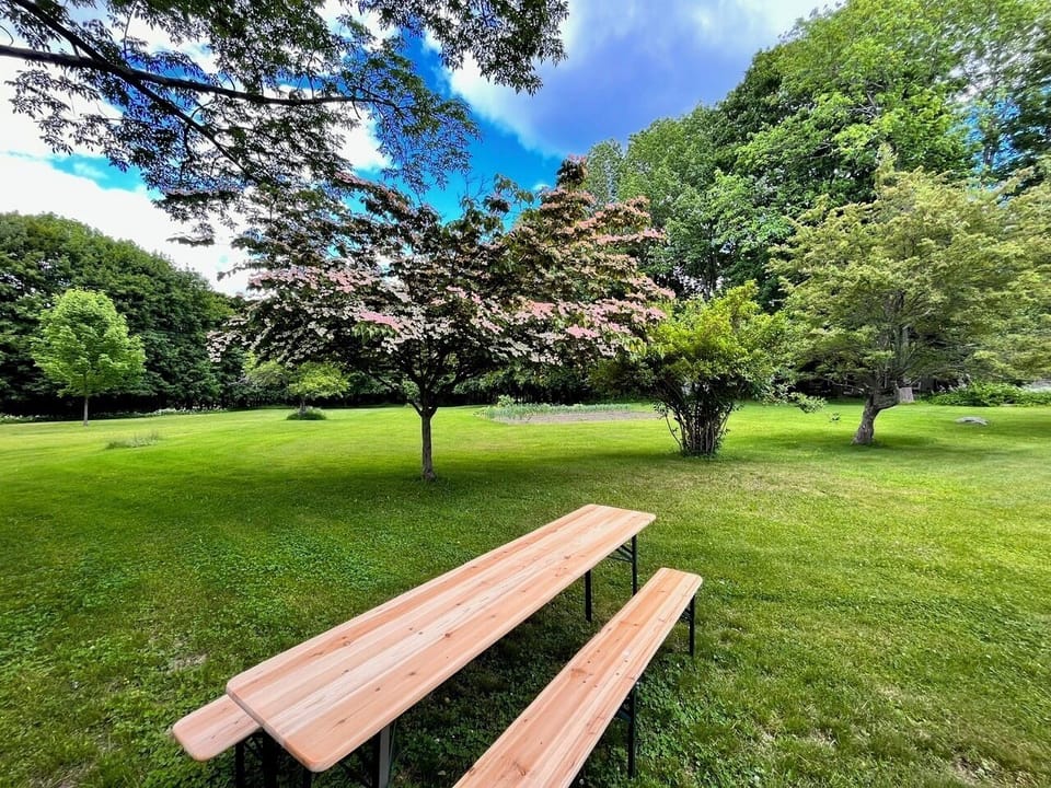 Beautiful backyard with table