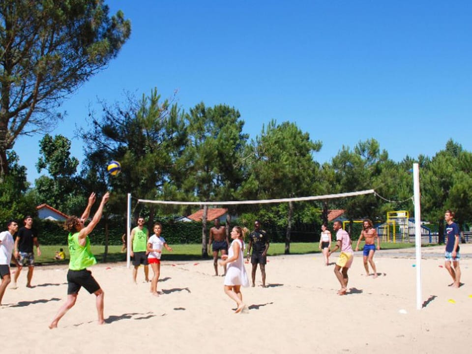 Sport court
