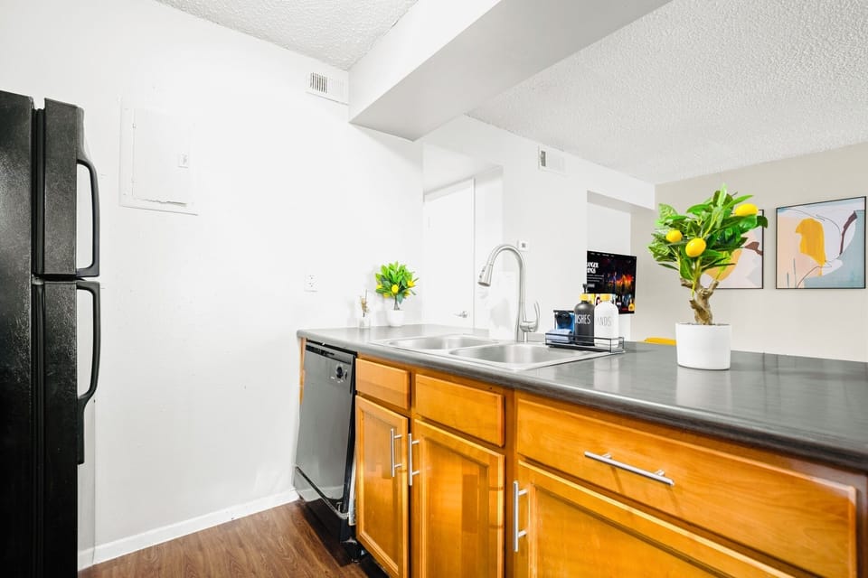 Kitchen ( microwave, stove, fridge ,freezer, dishwasher, coffee/espresso)