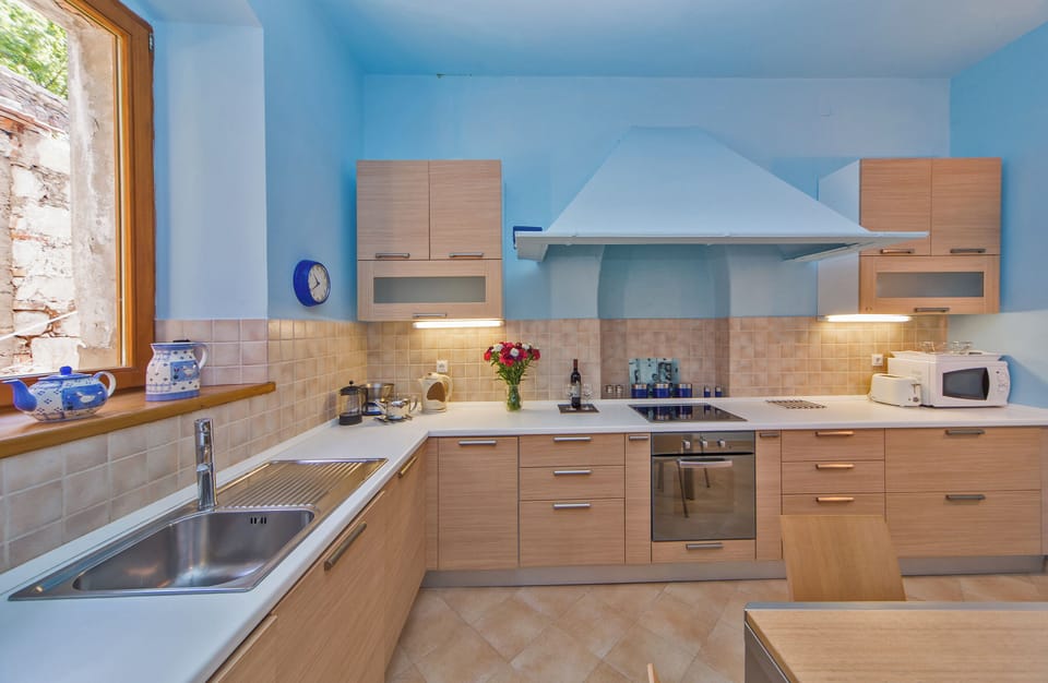 Deluxe Apartment, City View | Private kitchen | Full-size fridge, oven, stovetop, coffee/tea maker