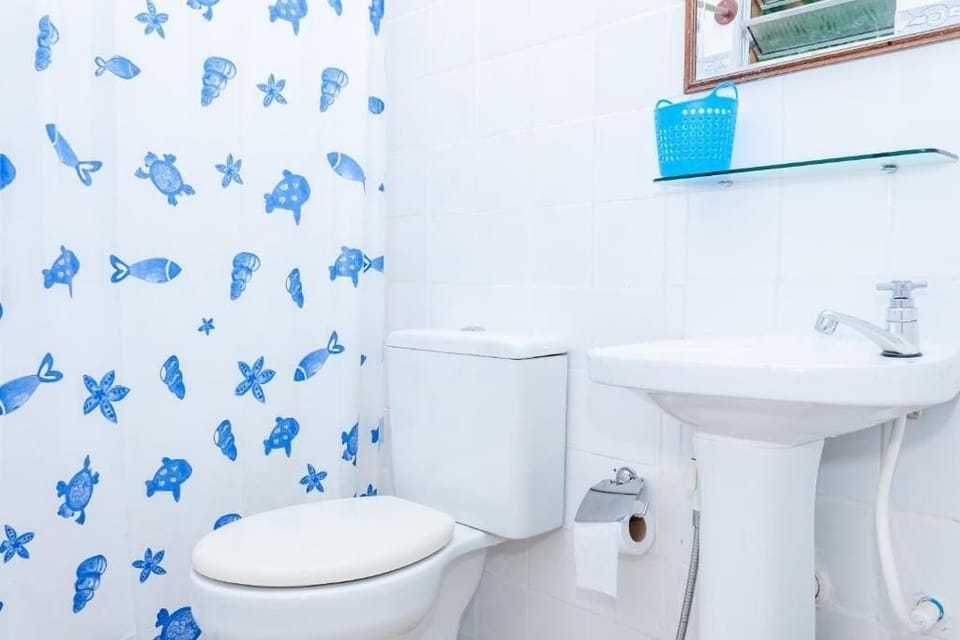 Shower, towels, soap, toilet paper