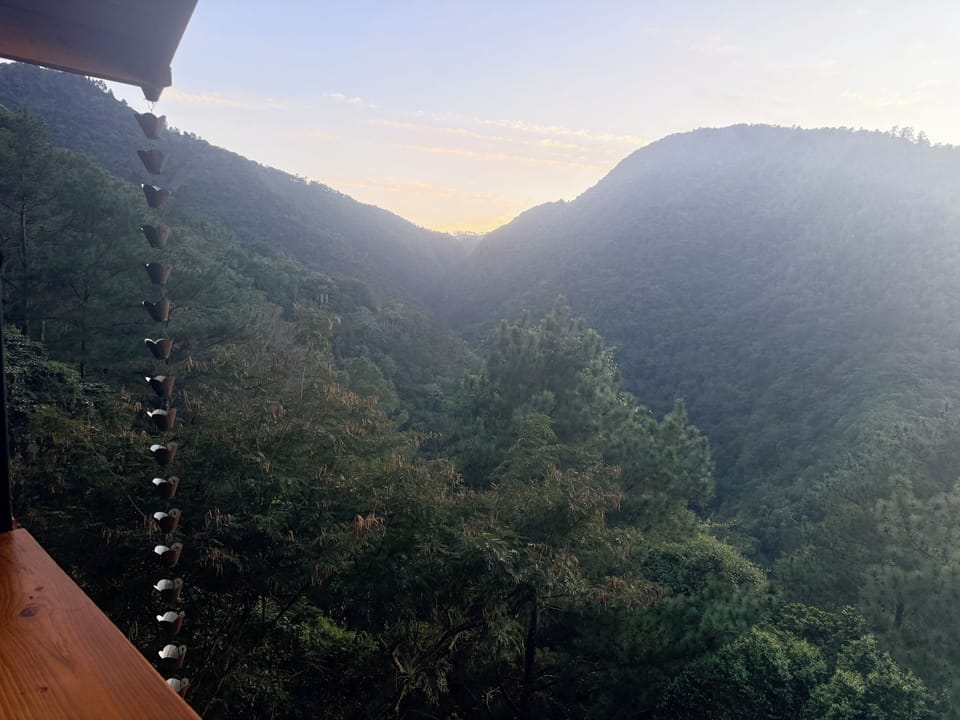 View from property