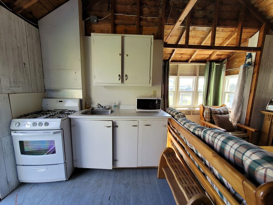 Basic Cabin, 2 Bedrooms, Lake View | Private kitchen | Mini-fridge