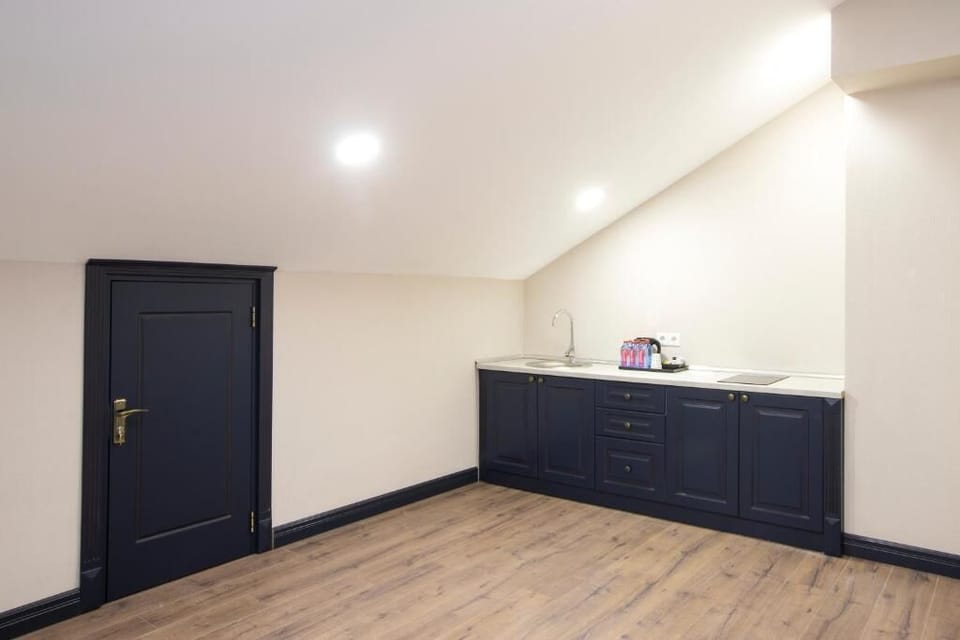 Deluxe Apartment, Balcony, Lake View | Private kitchen