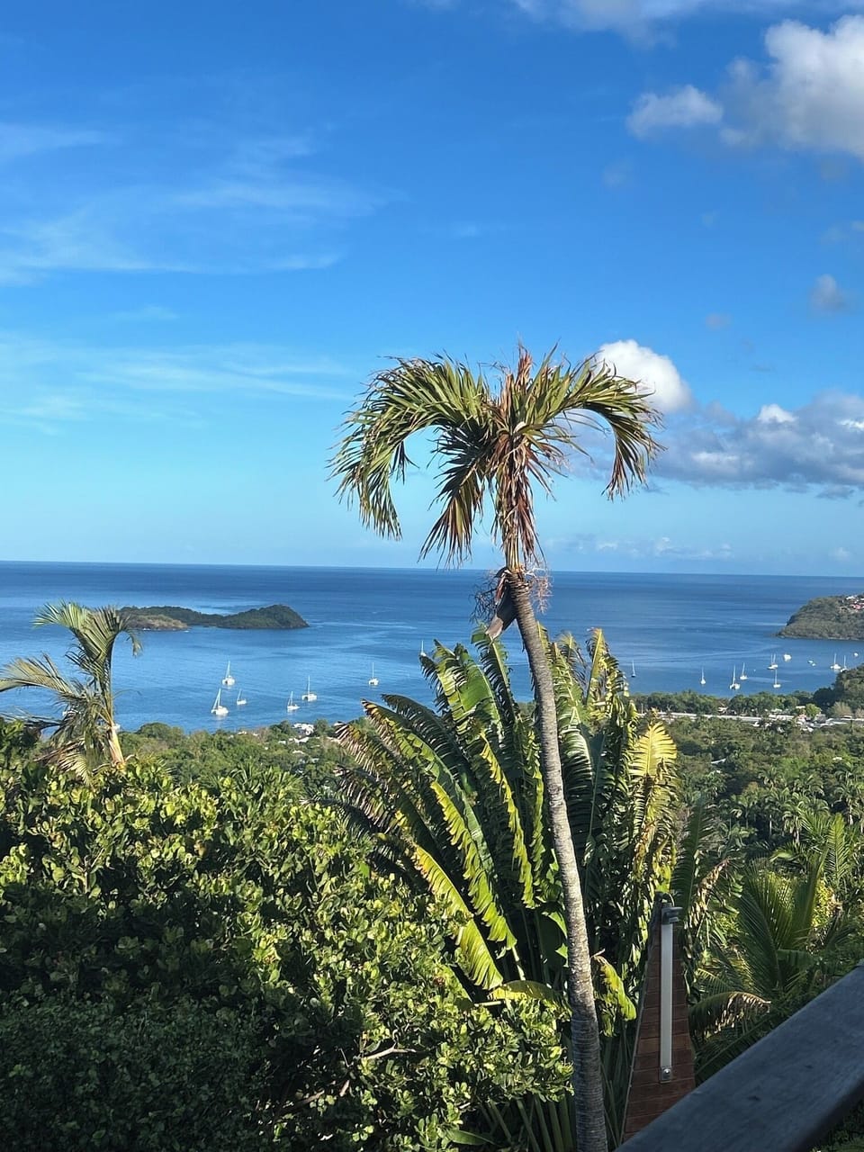 View from property