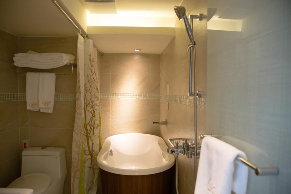 Hair dryer, slippers, towels, shampoo