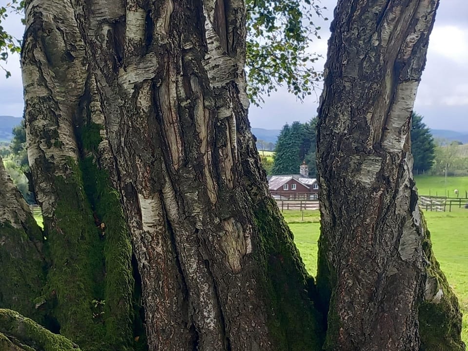 Cottage | Property grounds