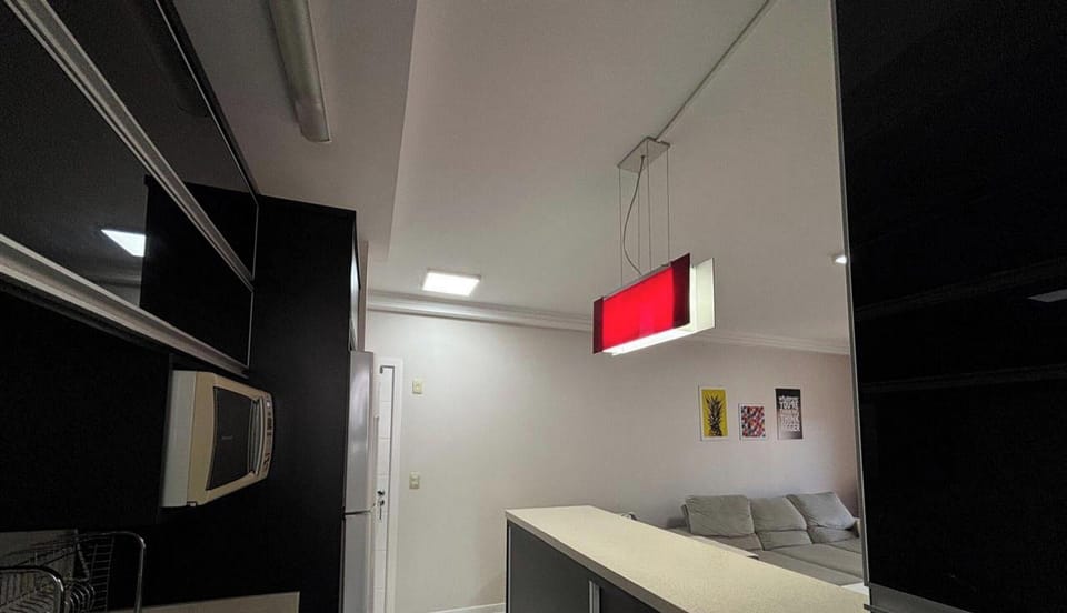 Deluxe Apartment | Private kitchen | Fridge, microwave, cookware/dishes/utensils, dining table