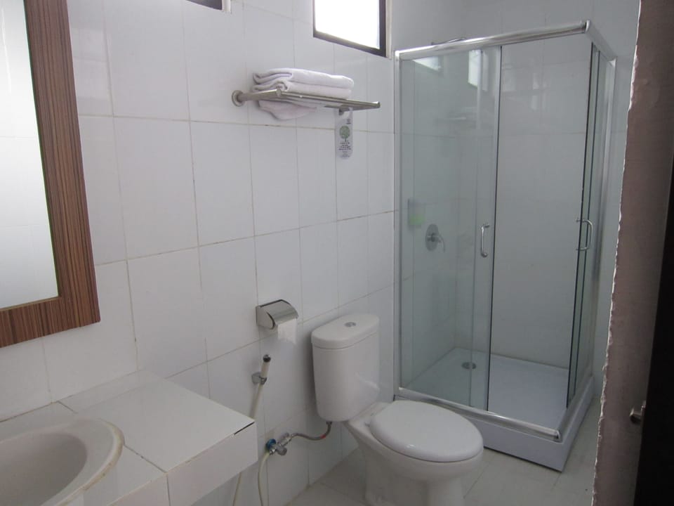 Shower, free toiletries, bidet, towels