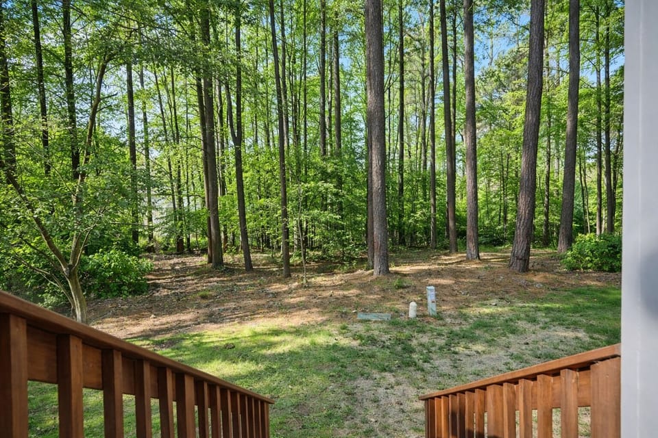 Large community back yard.