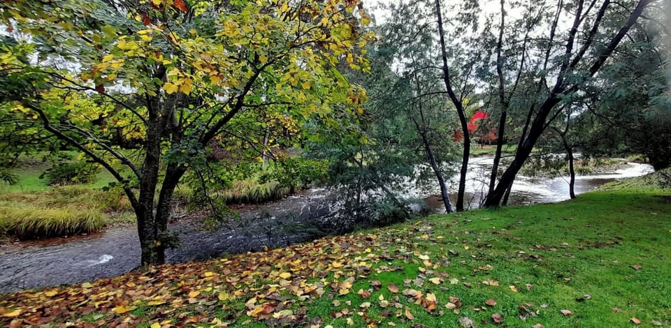 Front yard with direct access to river