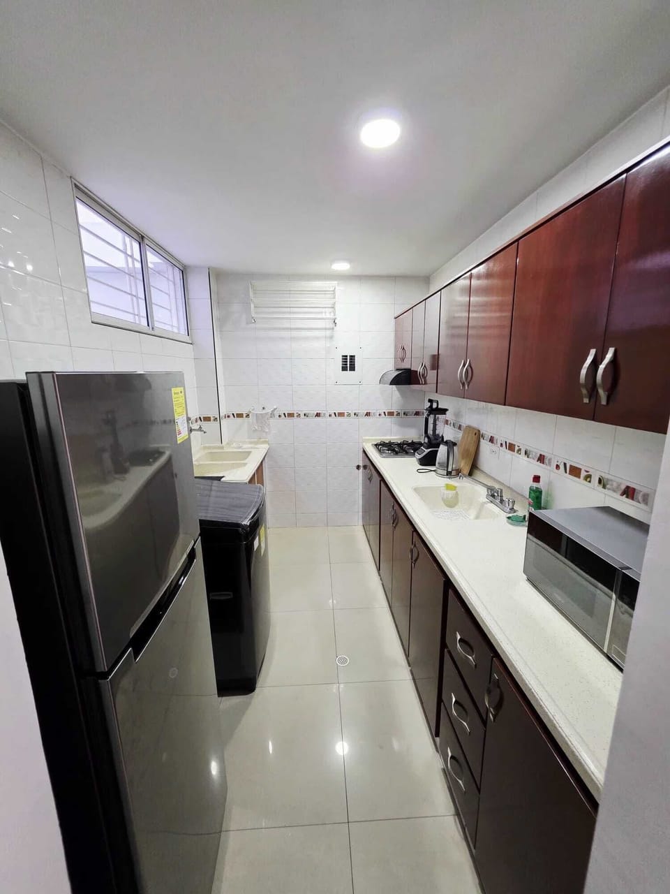 Apartment, Pets Allowed, Park View | Private kitchen | Full-size fridge, microwave, stovetop, blender