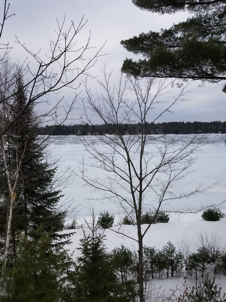 Lake view