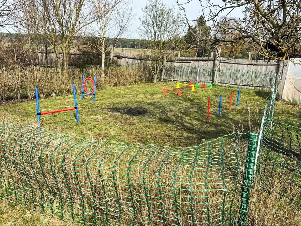 Wire Fencing, Mesh, Fence, Chain-Link Fencing, Land Lot, Net, Lawn, Garden, Backyard