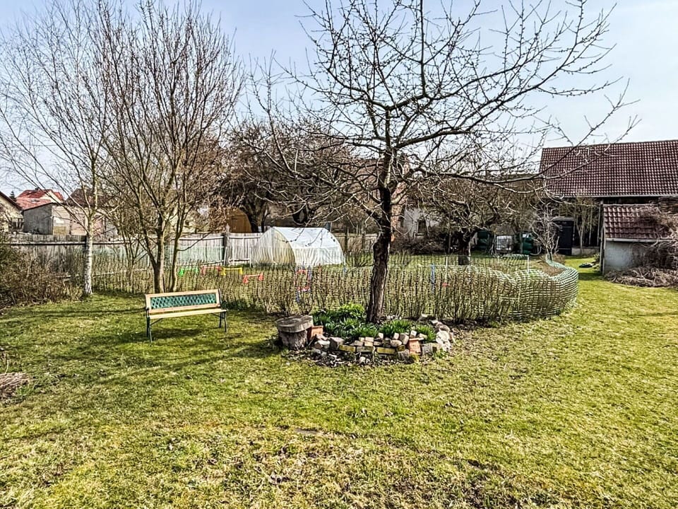 Shrub, Garden, Lawn, Backyard, Yard, Landscaping, Shade, Soil, Park