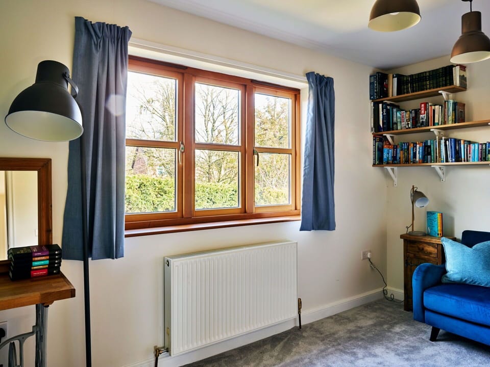 Shrub, Garden, Cottage, Shade, Landscaping, Yard, Backyard, Villa, Farmhouse, Houseplant