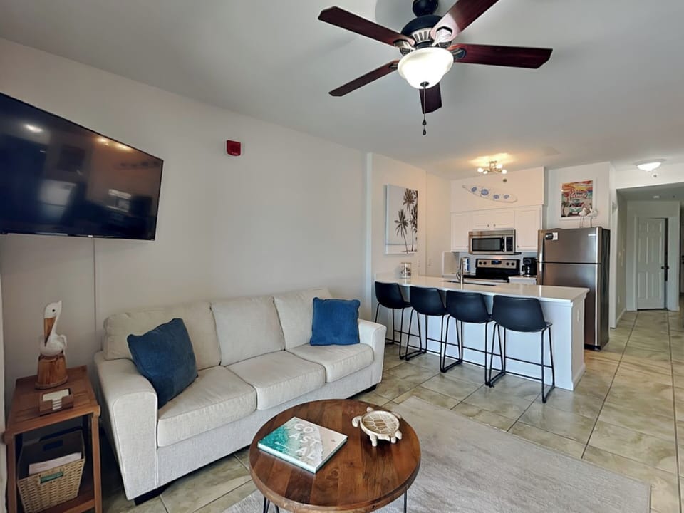 Living Area - TV and Full Sleeper Sofa