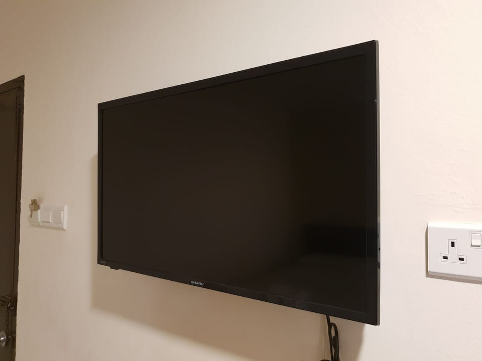 Television