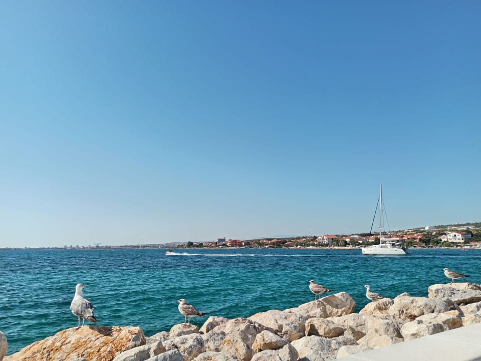 Apartment | 2 bedrooms