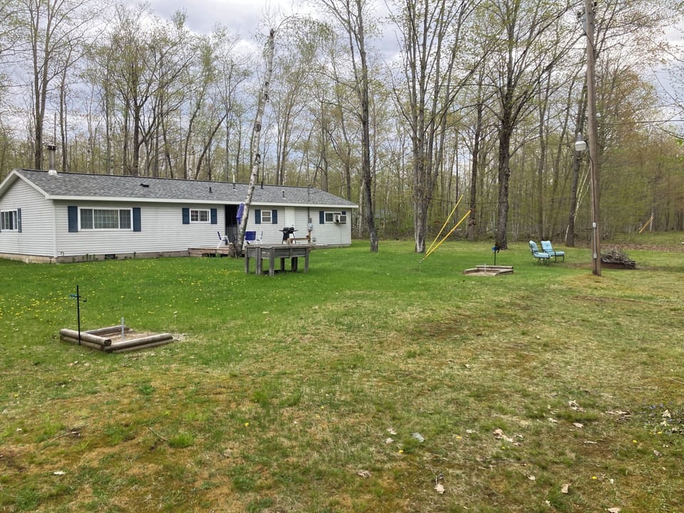 Back yard