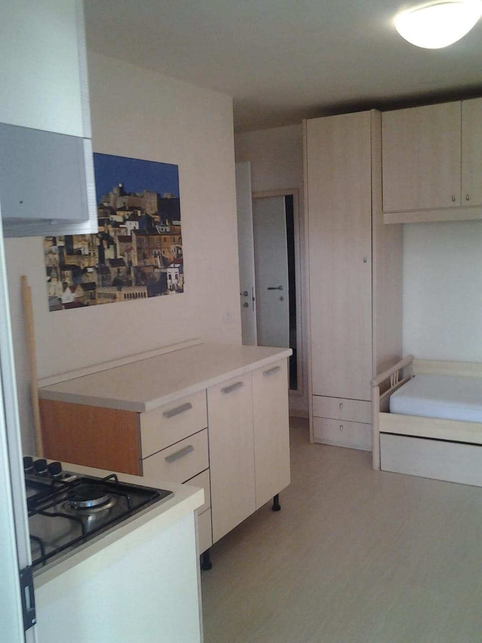 Fridge, cookware/dishes/utensils