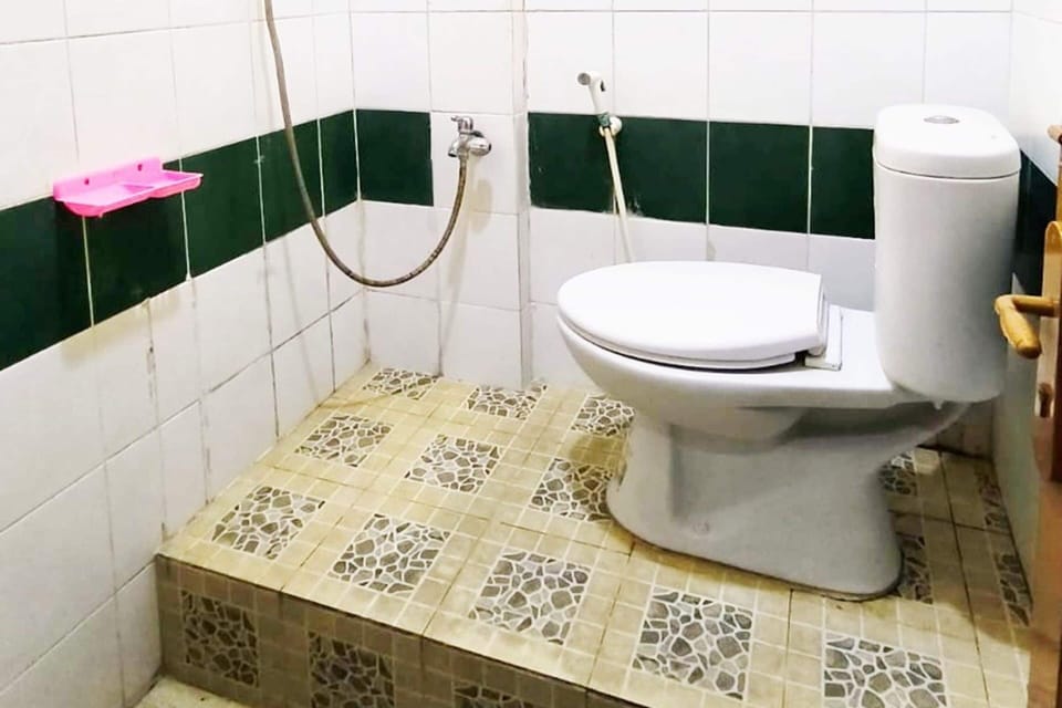 Deluxe Double Room | Bathroom | Shower, towels, soap, shampoo