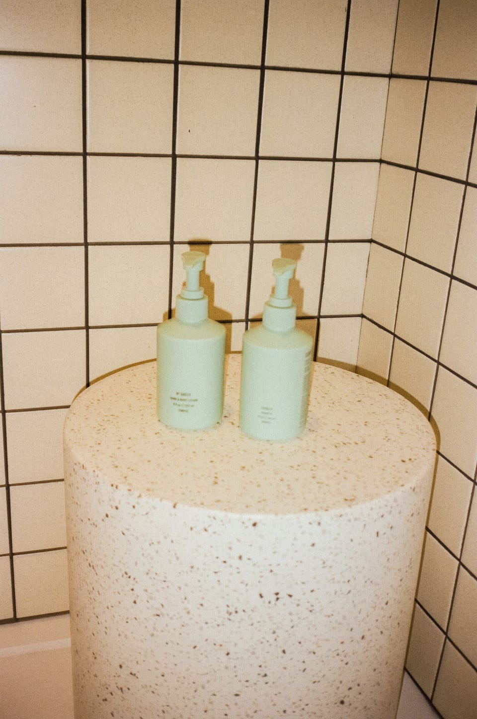 Presidential Suite | Bathroom | Shower, free toiletries, hair dryer, slippers
