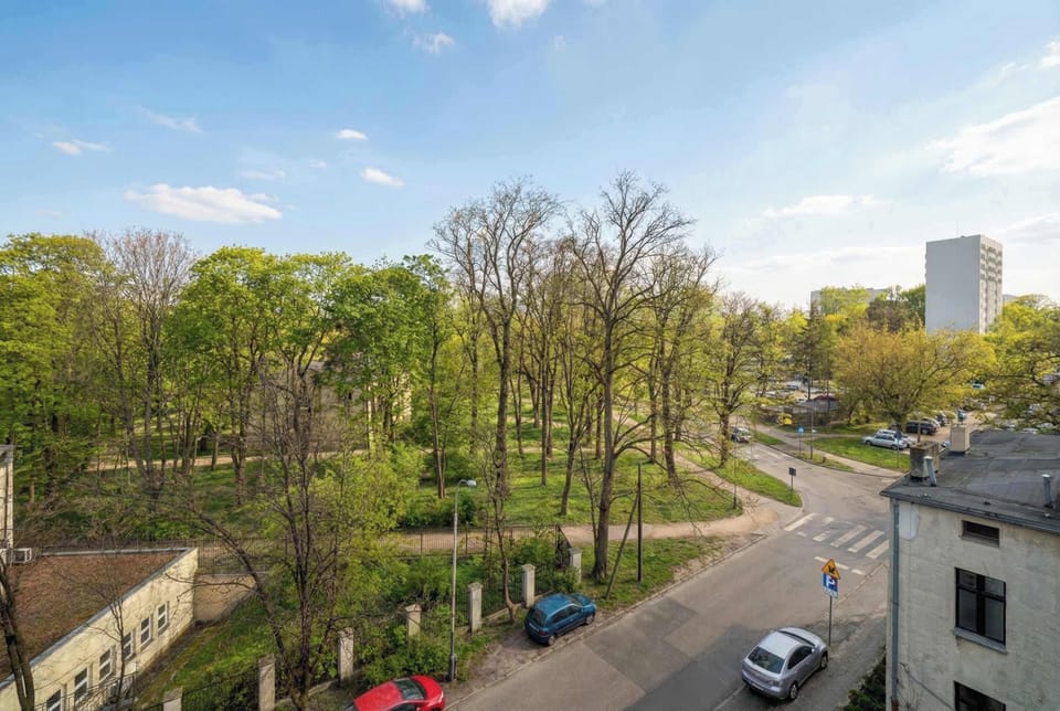 A view from above of a street lined with trees, parked cars, and residential buildings in the distance.