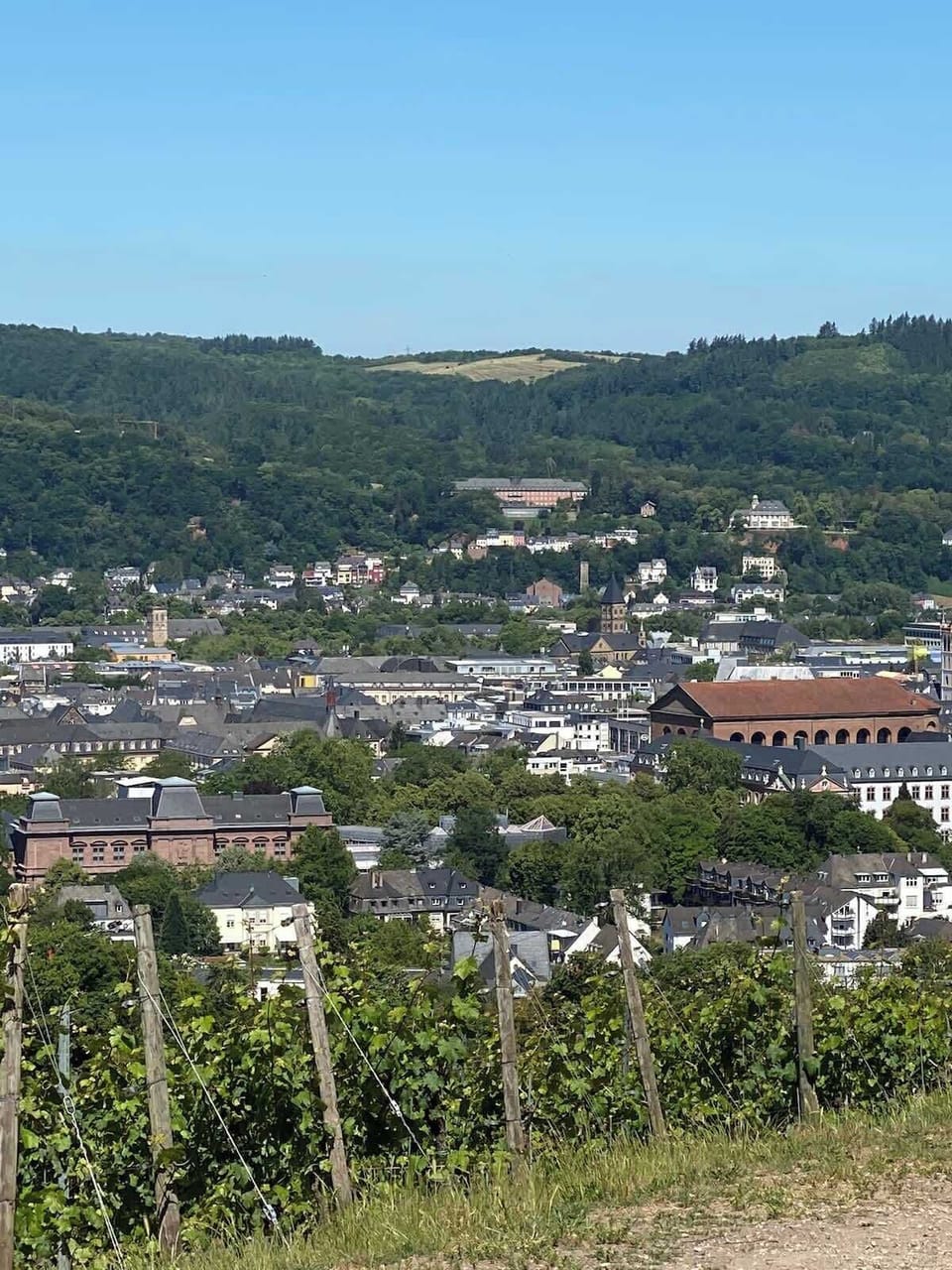 Blick auf Trier - Aussichtspunkt Petrisberg