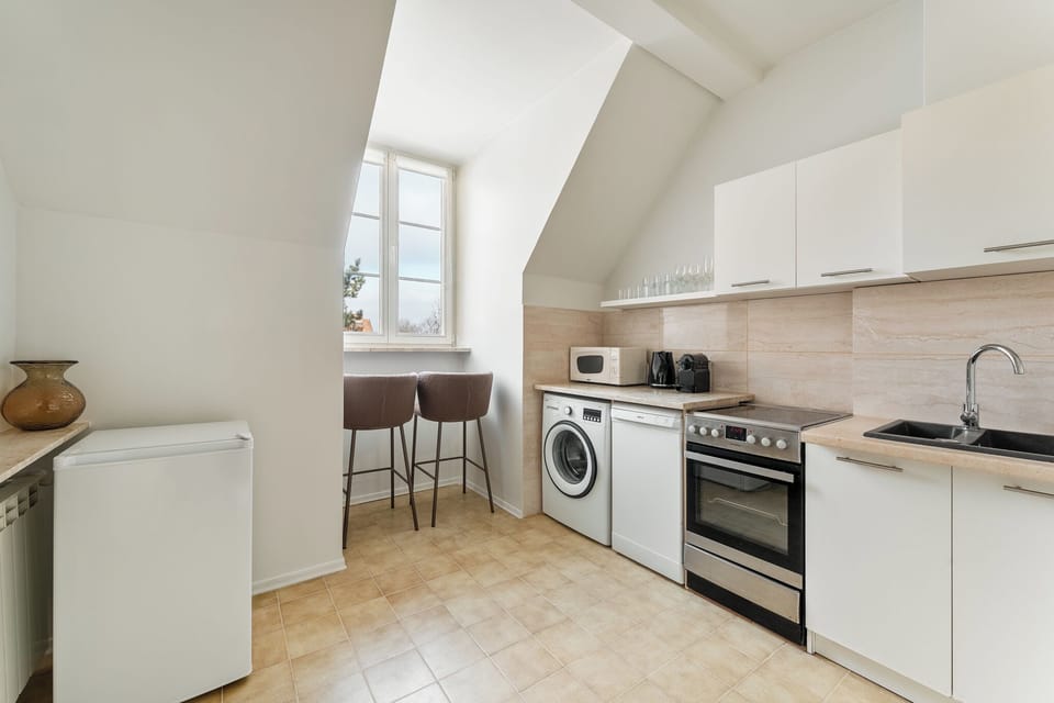 Comfort Studio Suite, 1 Double Bed with Sofa bed, Bathtub | Private kitchenette | Fridge, microwave, oven, stovetop