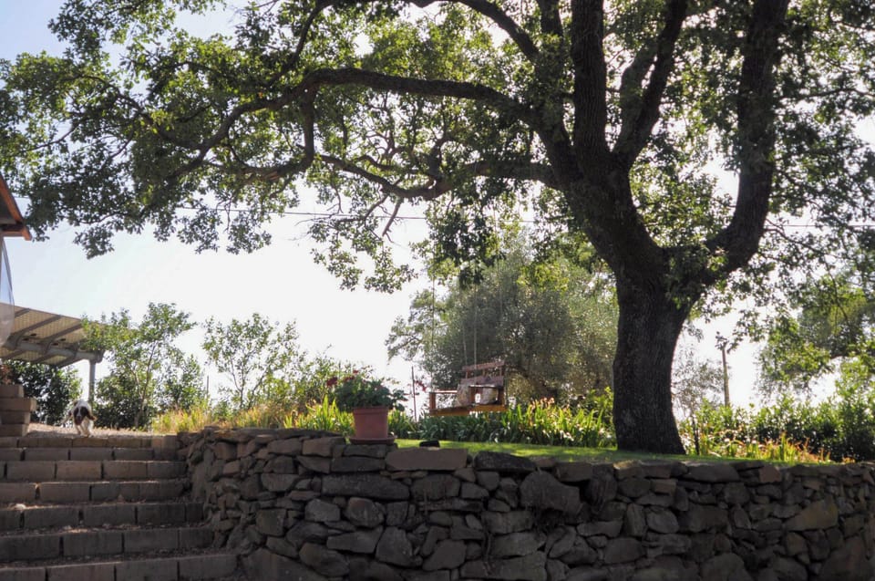 House, Garden View | Property grounds