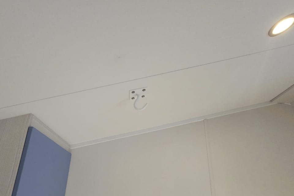 Pull up ceiling hook 
