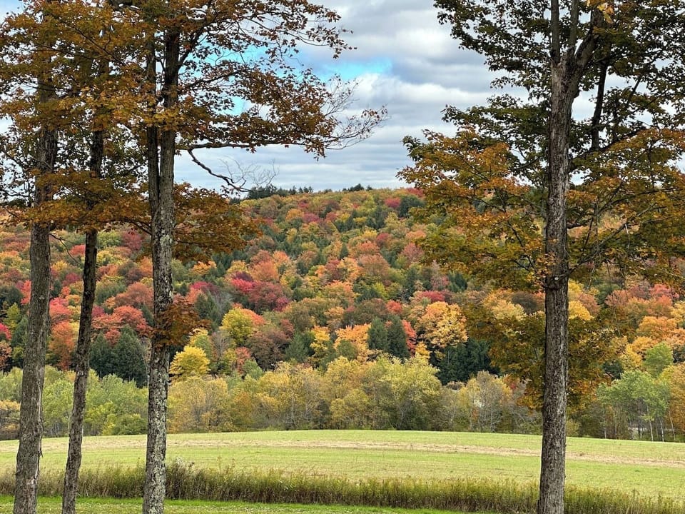 View to the front of the property
