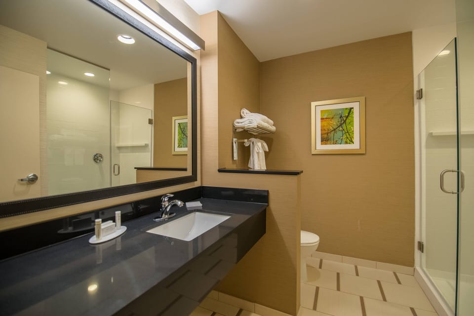 Suite, 1 King Bed with Sofa bed | Bathroom | Free toiletries, hair dryer, towels, soap