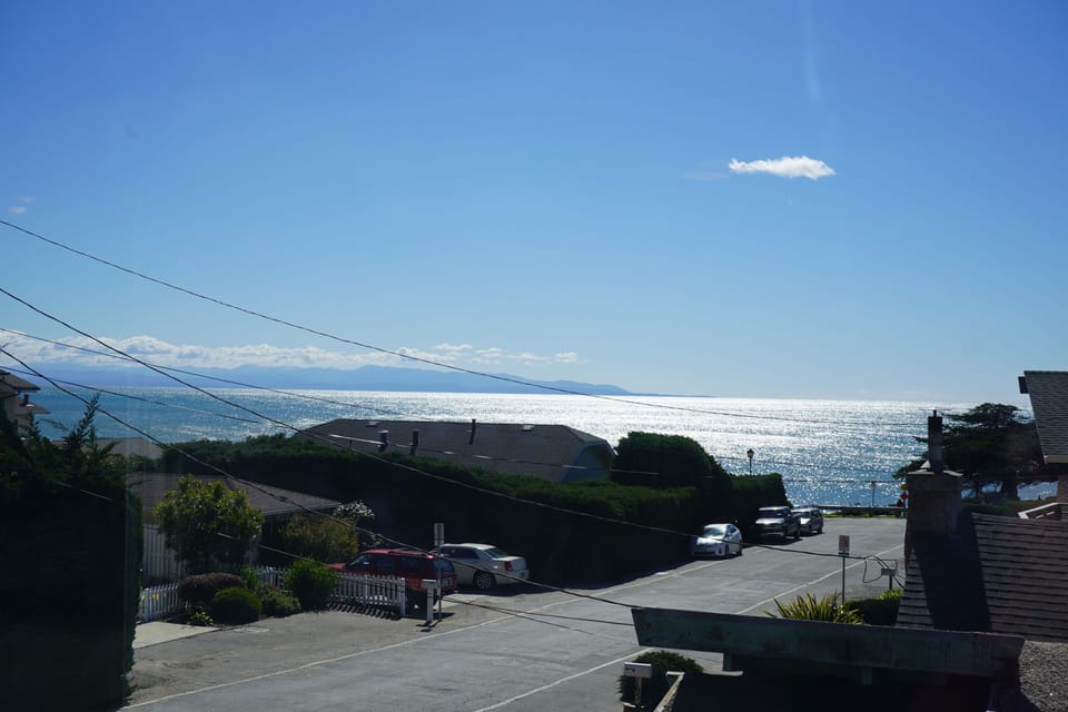 Apartment, Pets Allowed, Ocean View | Water view