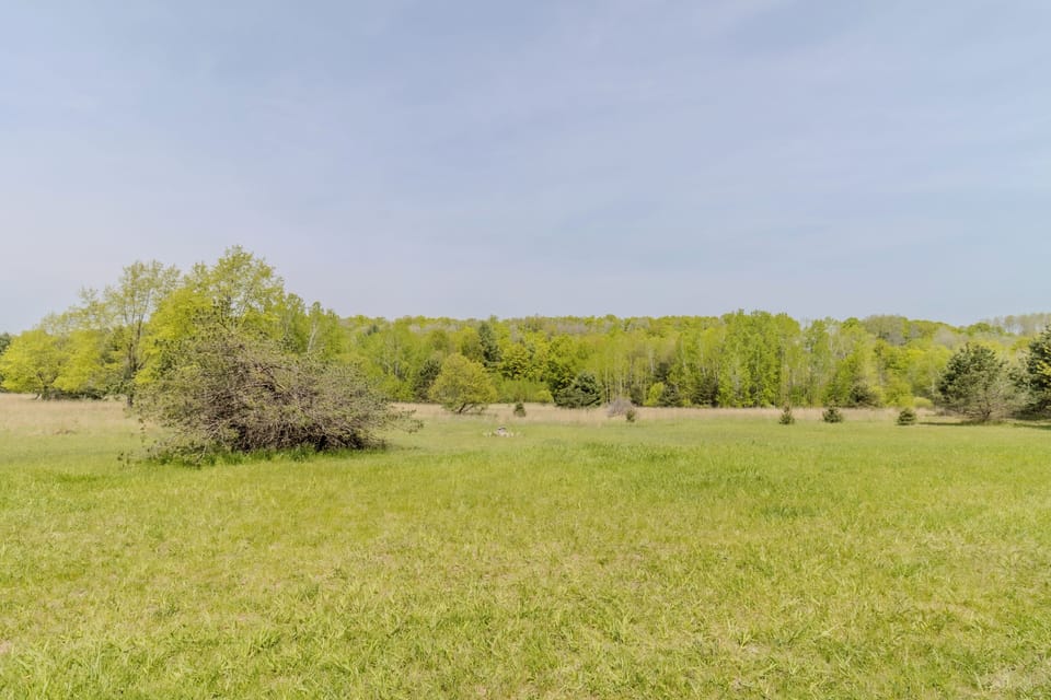 Exterior Yard - Accross the dirt road from the house is a field with a firepit