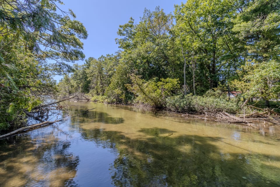 River - The Crystal River is broad, shallow, slow-moving, and clear. Great for wading, swimming, and kayaking safely.
