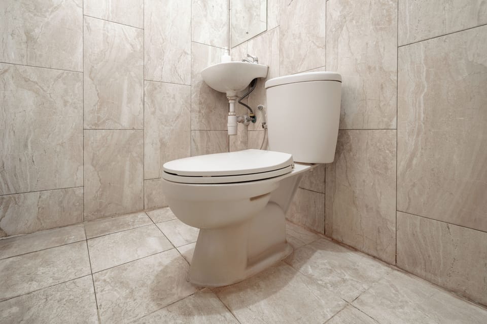 Deluxe Double Room | Bathroom | Shower, free toiletries, towels