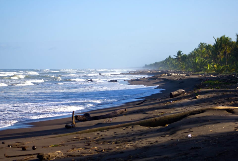 Turtle Beach Lodge Lodge in Costa Rica