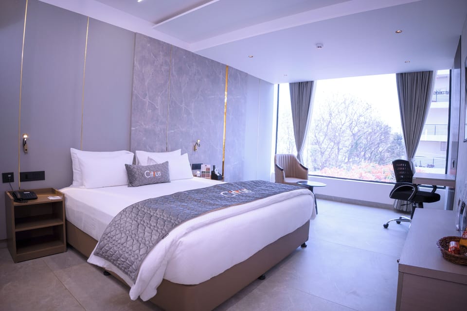 Deluxe Double Room | Free WiFi, wheelchair access