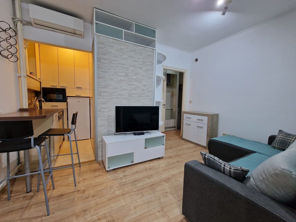 Standard Apartment | Living area