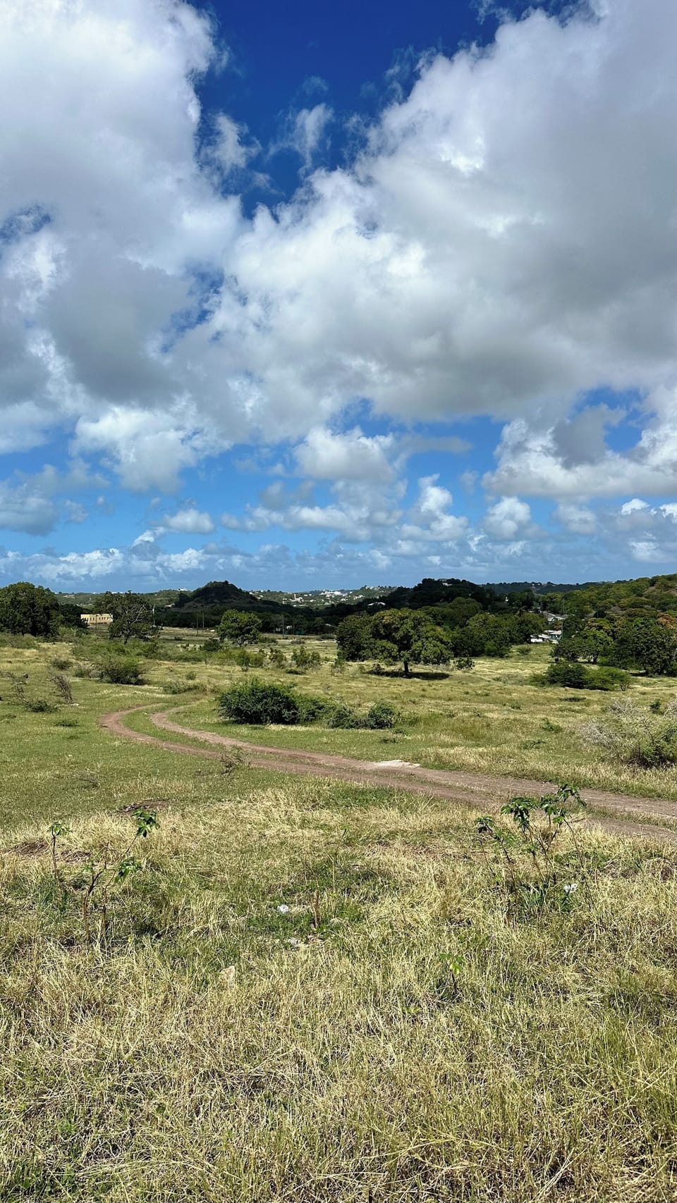 Land view from property