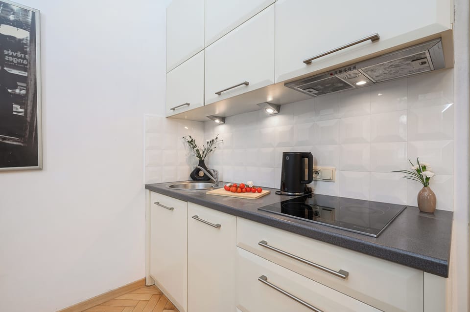 Classic Apartment, Courtyard View | Private kitchen | Electric kettle