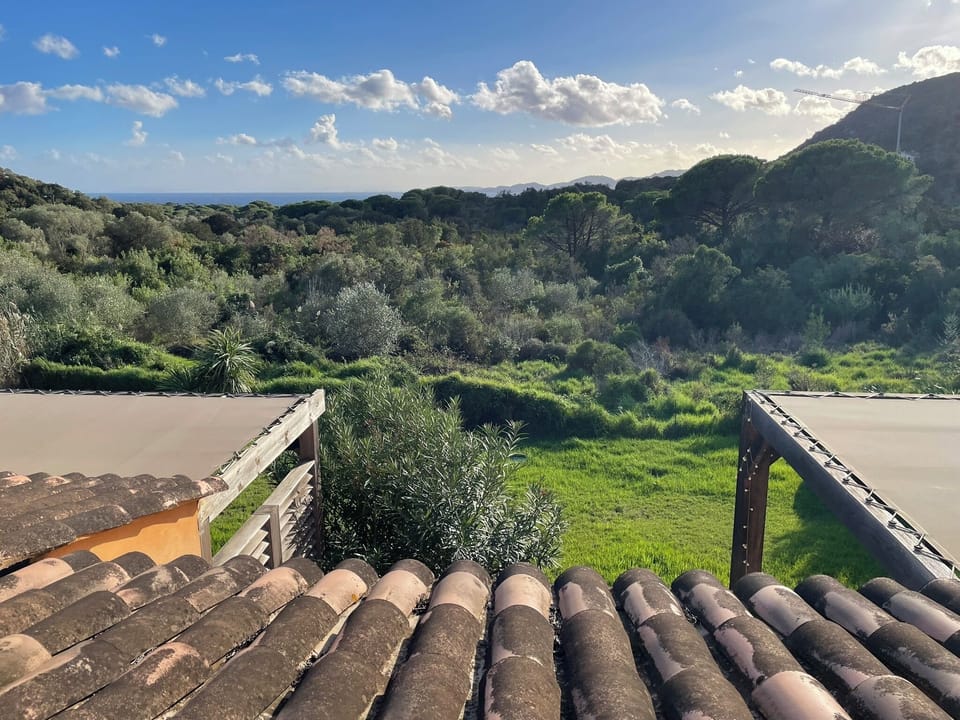 View from property