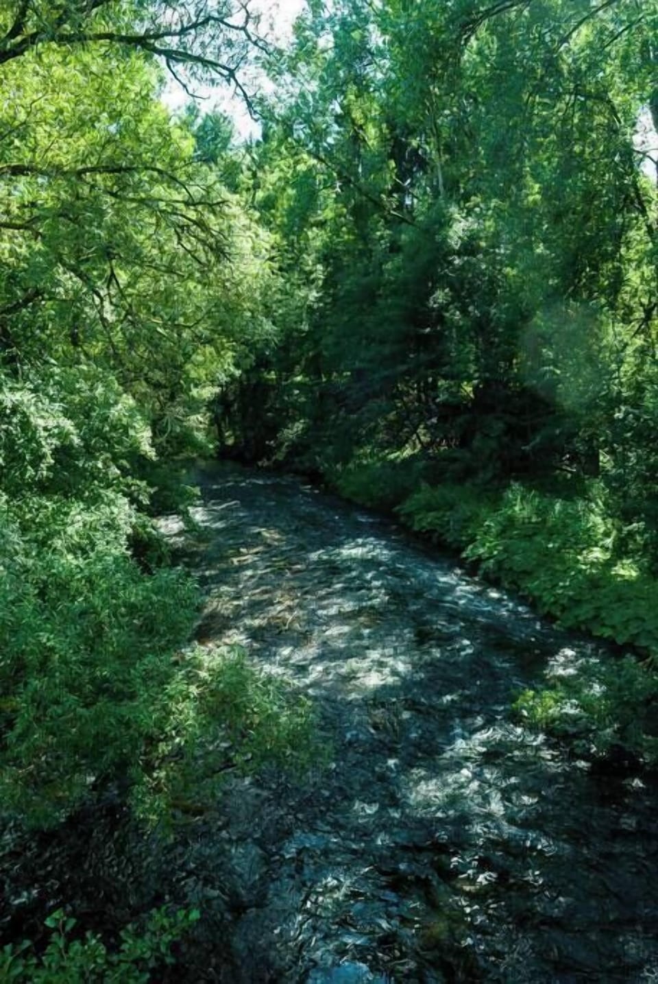 "De omgeving is landelijk met veel fiets en wandel mogelijkheden." (Maite, Nederland, Mai 2017, pictured: River Kyll (2 km.)