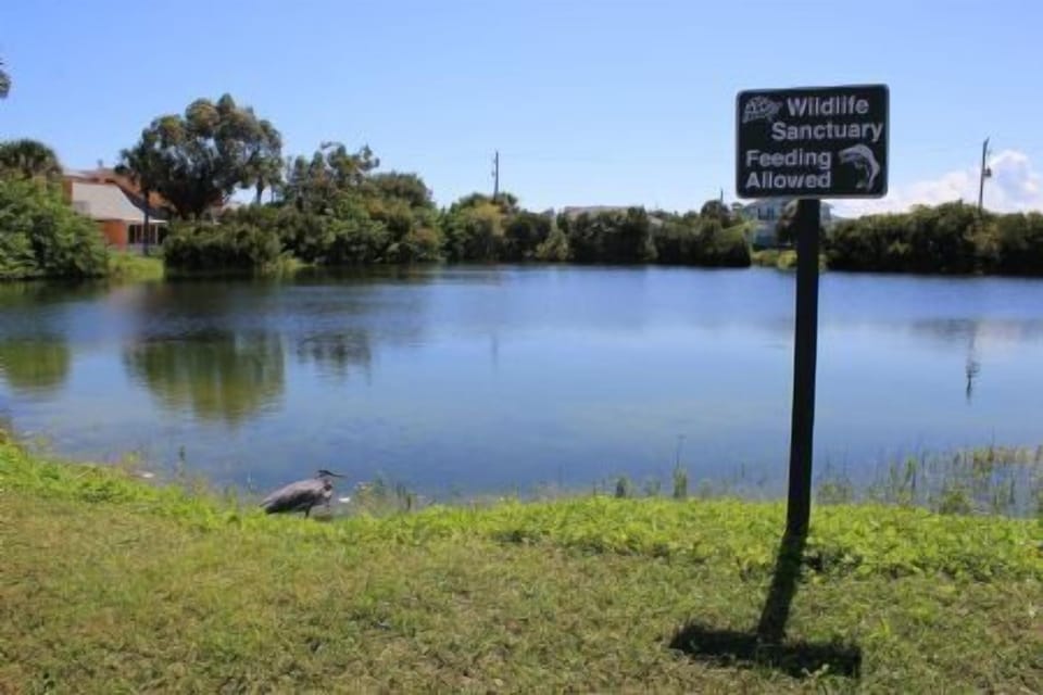 St. Augustine Beach and Tennis Resort Pond