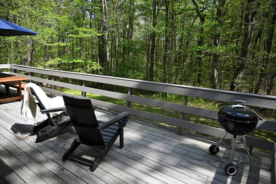 Lounge on the deck with view toward the woods and pond